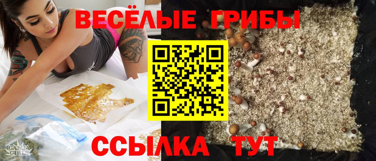 Вышний Волочёк  Псилоцибиновые грибы мицелий  Вход с VPN 