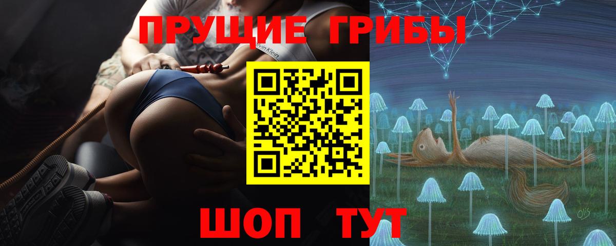 Псилоцибиновые грибы Cubensis Вышний Волочёк
